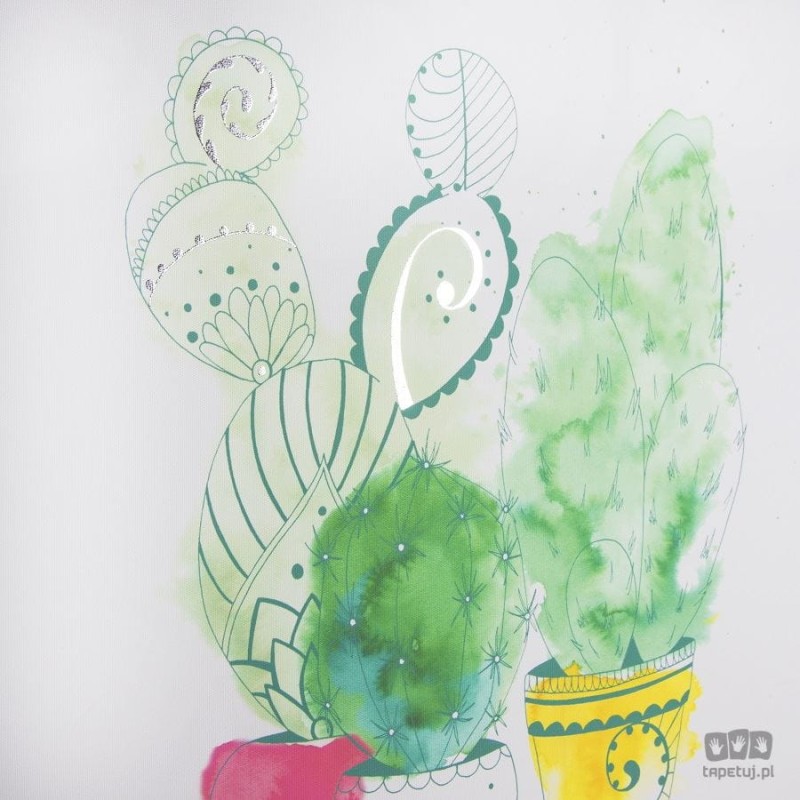Obraz Kaktus 105875 Art for the Home