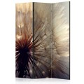 Parawan 3-częściowy - Pocałunek dmuchawca [Room Dividers]