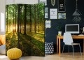 Parawan 3-częściowy - Poranek w lesie [Room Dividers]