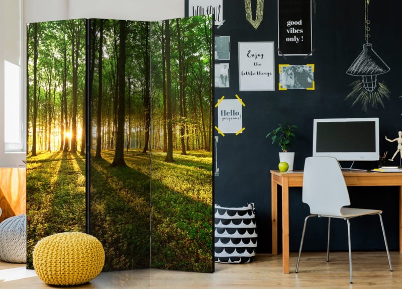 Parawan 3-częściowy - Poranek w lesie [Room Dividers]