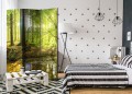Parawan 3-częściowy - Leśne jezioro [Room Dividers]