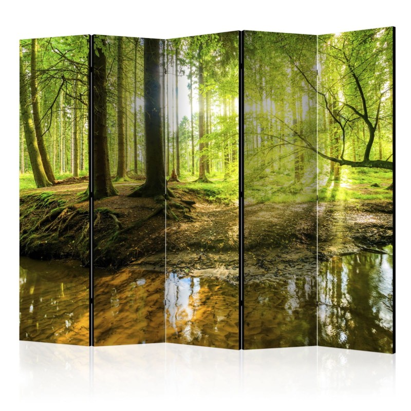 Parawan 5-częściowy - Leśne jezioro II [Room Dividers]