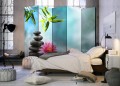 Parawan 5-częściowy - Lilia wodna i kamienie spa II [Room Dividers]