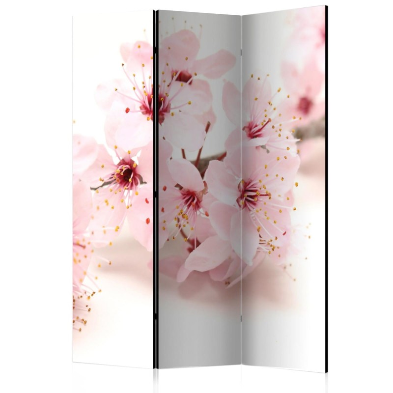 Parawan 3-częściowy - Kwiat wiśni [Room Dividers]
