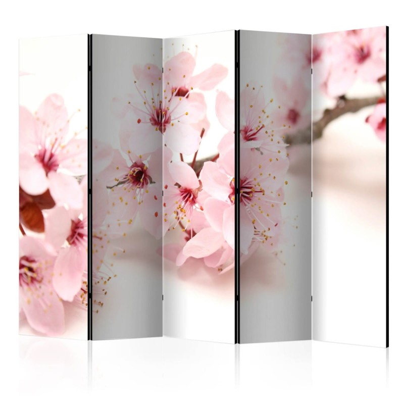 Parawan 5-częściowy - Kwiat wiśni II [Room Dividers]